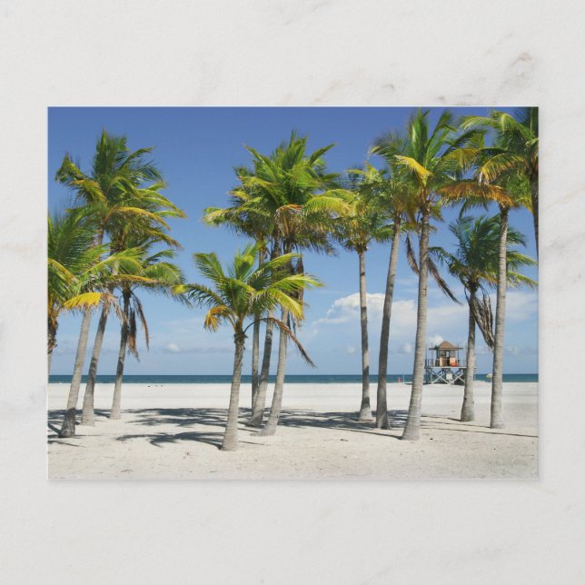 Belle plage ensoleillée en Afternoon Carte postale (Devant)