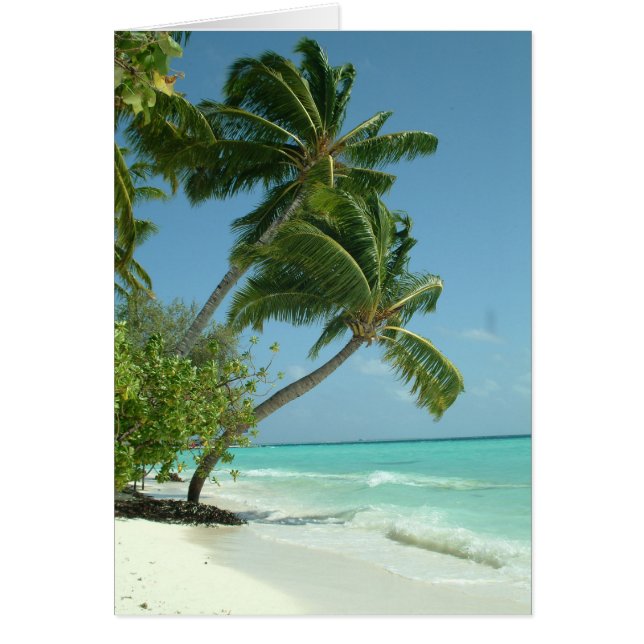 Belle plage, Maldives (Devant)