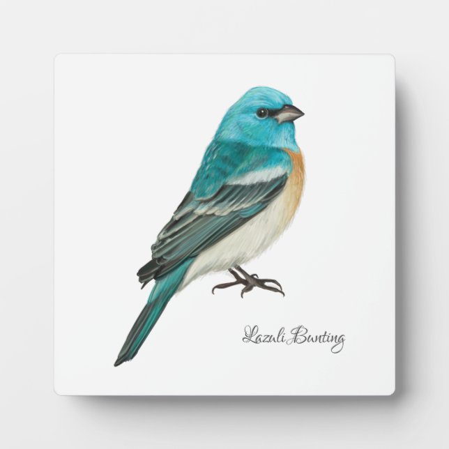 Belle Plaque Oiseaux (Devant)