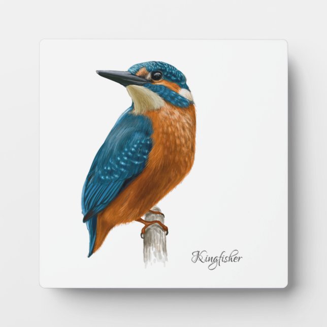 Belle Plaque Oiseaux (Devant)
