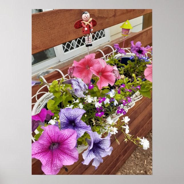 Belle Poster Pétunia Rose Fairy Garden (Devant)