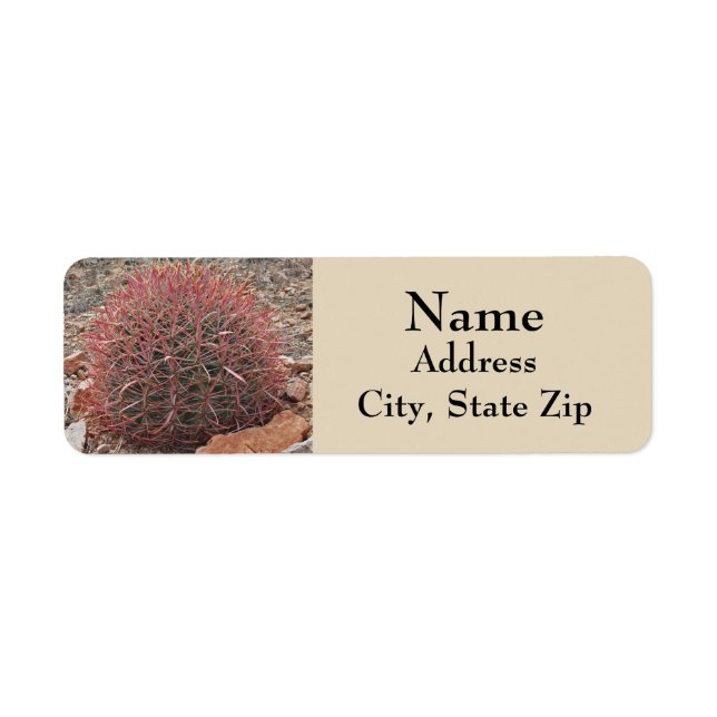 Belle Red Barrel Cactus Desert Adresse du Plante (Devant)