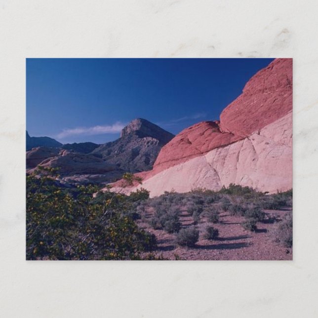 Belle Red Rock Canyon Nevada Carte Postale Pittore (Devant)