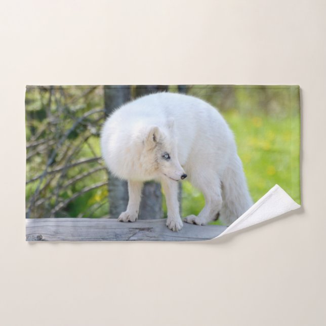 Belle Renard Artique (Serviette à main)