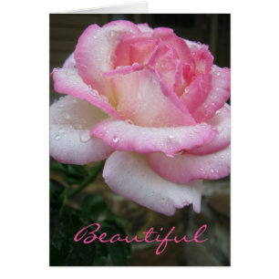 Belle Rose Ecclesiastes 3:11 Carte d'écriture