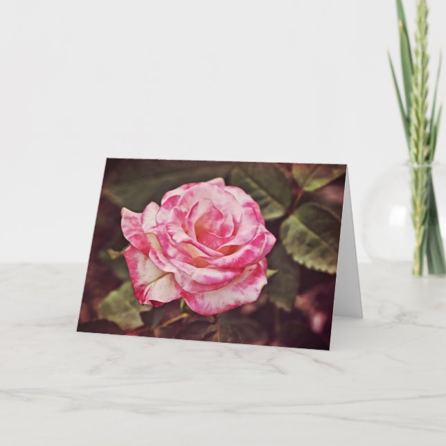 Belle Rose rose Écriture Carte Psaume 102:26 (Devant)