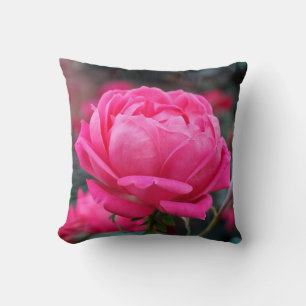 Belle rose rose rose fleur oreiller