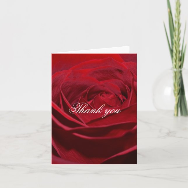 Belle Rose Rouge Merci (Devant)