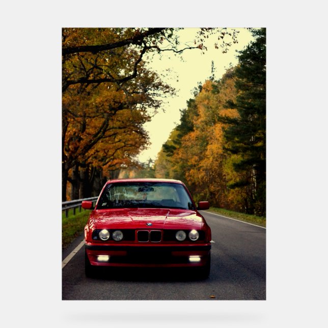 Belle_Rouge_E34 (Recto)