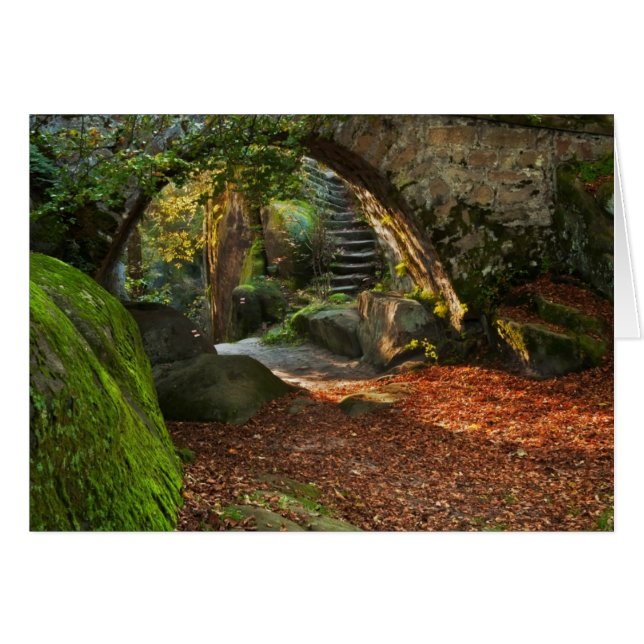 Belle scène d'automne (Devant horizontal)