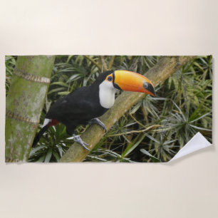 Belle serviette de plage Toucan