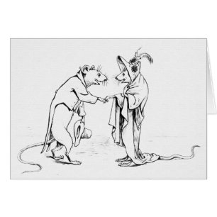 Belle souris de nuit