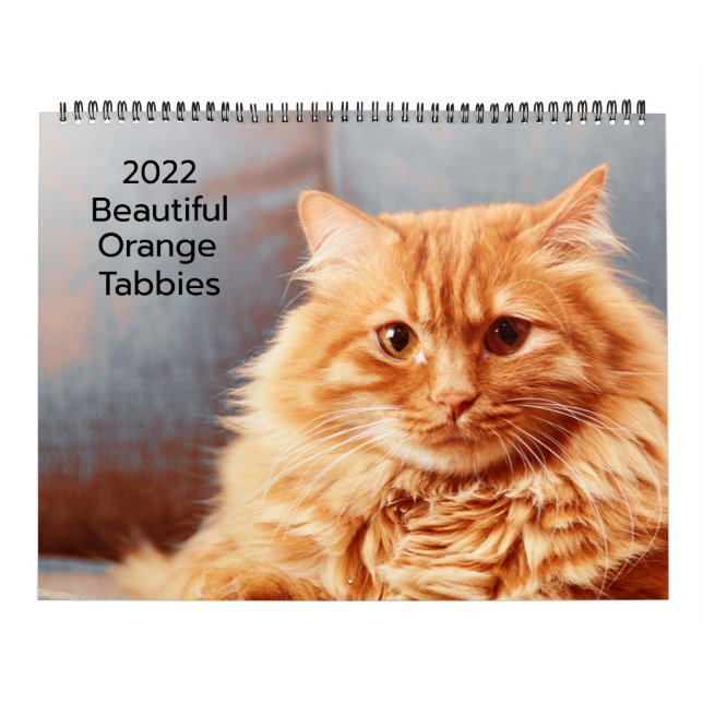 Belle Tabbies Orange 2022 Calendrier (Protection)