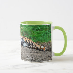 Belle tasse à café tigre endormie