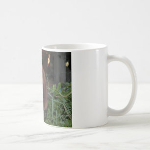 Belle tasse de Basset Hound