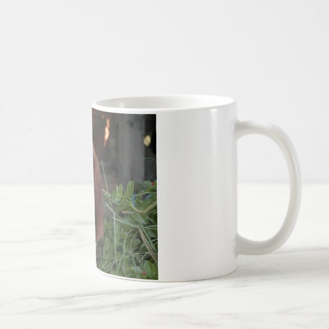 Belle tasse de Basset Hound (Droite)
