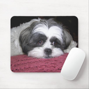 Belle The Shih Tzu Mouse Pad