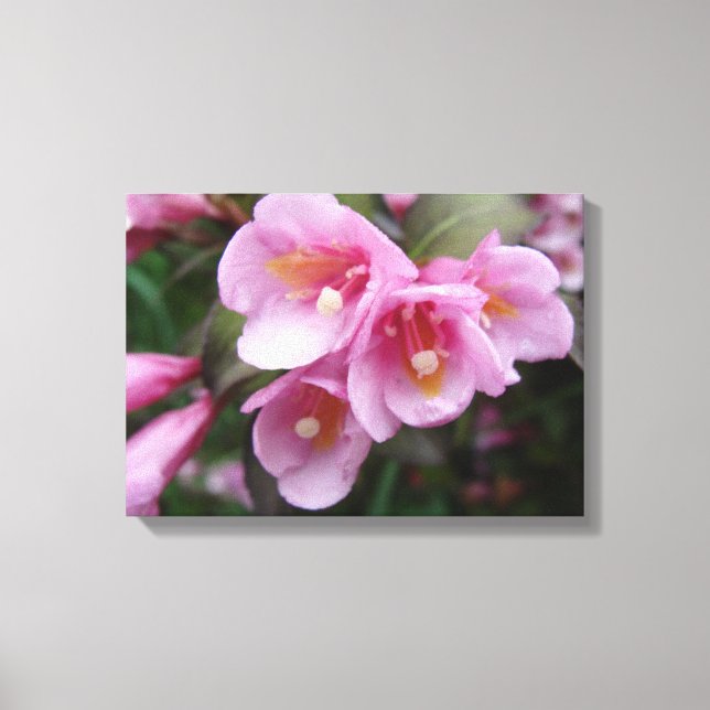 Belle toile rose florale Impression (Recto)
