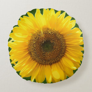 Belle tournesol sur Green Forest Coussin rond