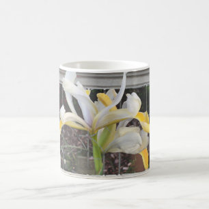 Belle Tulipe Fantastique Dans La Mug Élégante Fenê