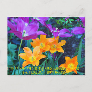 Belle Tulipes Printemps Orange Purple Carte Postal