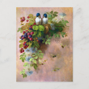Belle Vins de Berry et Blue Birds Carte postale