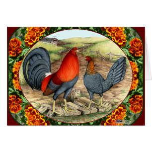 Belle volaille de jeu