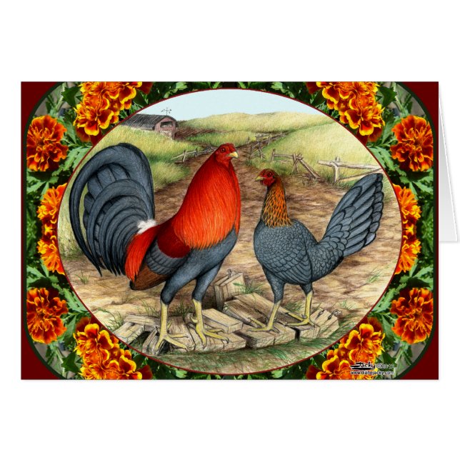 Belle volaille de jeu (Devant Horizontal)