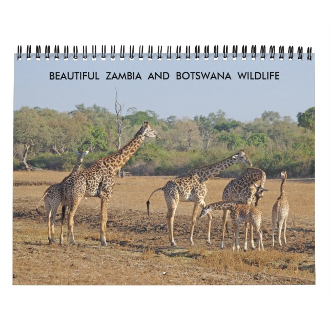 BELLE ZAMBIE ET CALENDRIER DE LA FAUNE DU BOTSWANA (Protection)