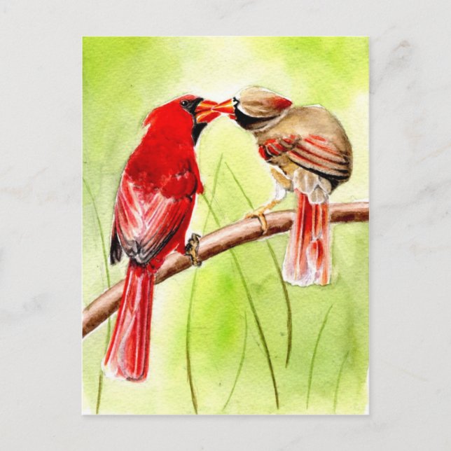 belles cartes postales d'oiseaux 15 (Devant)