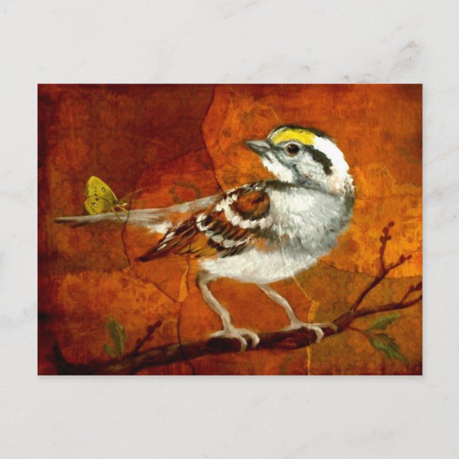 belles cartes postales oiseaux 13 (Devant)