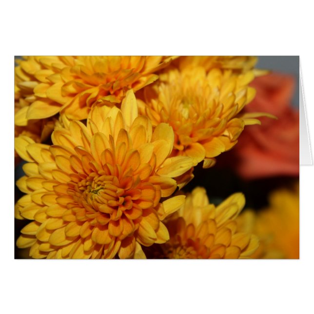 Belles fleurs automnales (Devant Horizontal)
