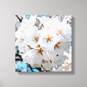 Belles fleurs blanches sous une toile lumineuse de