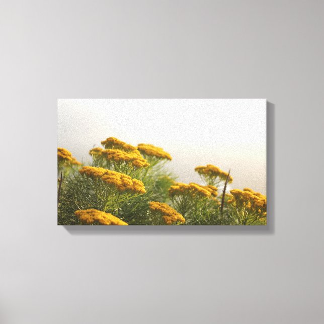 Belles Fleurs Jaunes Impression en toile étirée (Recto)
