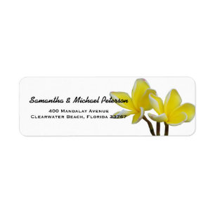 Belles fleurs tropicales de Plumeria