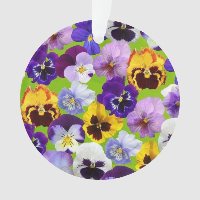 Belles Pansies de Printemps (devant)