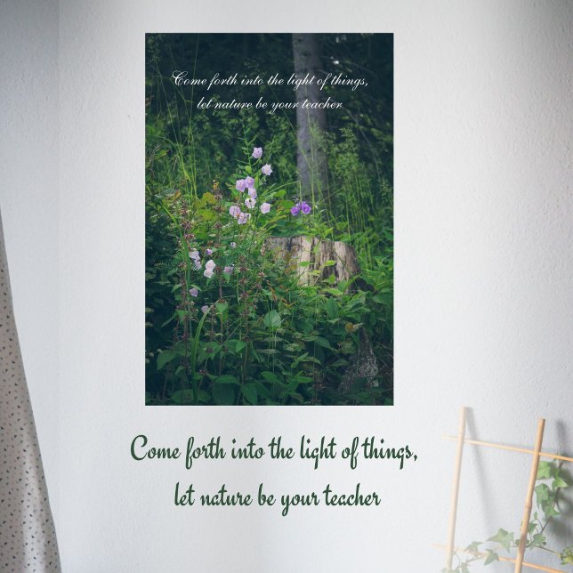 Bellflowers in the woods  poster (Creator Uploaded)