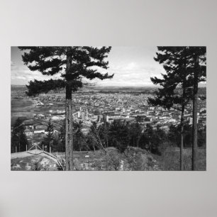Bellingham, WA Town View from Sehome Hill Poster
