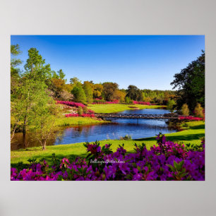Bellingrath Gardens, Alabama, Poster