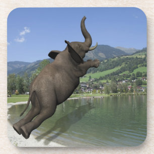 Belly Flop Elephant Coaster