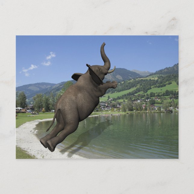 Belly Flop Elephant Postcard (Front)