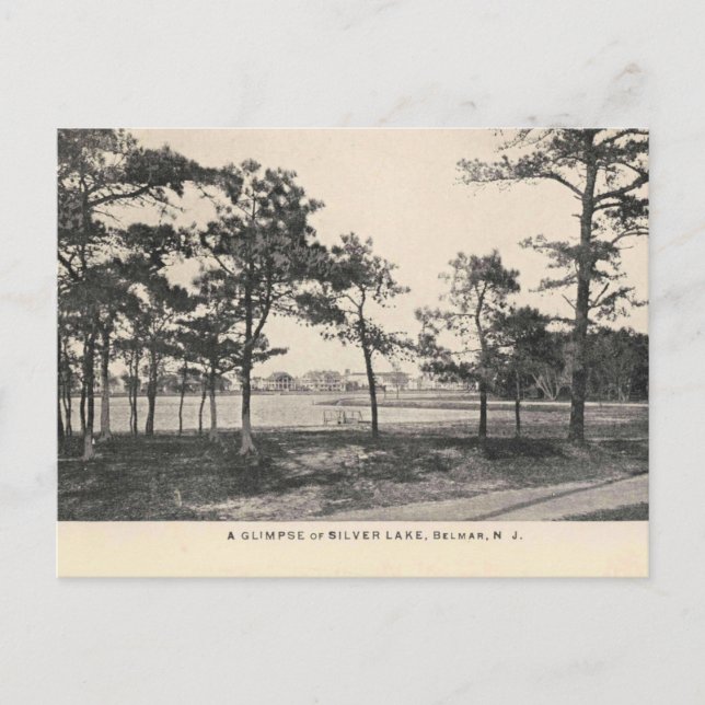 Belmar NJ, Silver Lake, 1909 Vintage Style Postcard (Front)