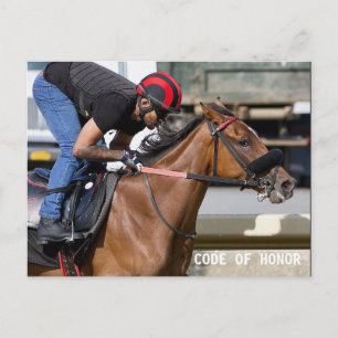 Belmont Park Training Track (1) Postcard