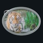 Belt buckle, for sale ! oval belt buckle<br><div class="desc">Everyone will love ❤ this cool 😎 tiger 🐯 belt buckle.</div>
