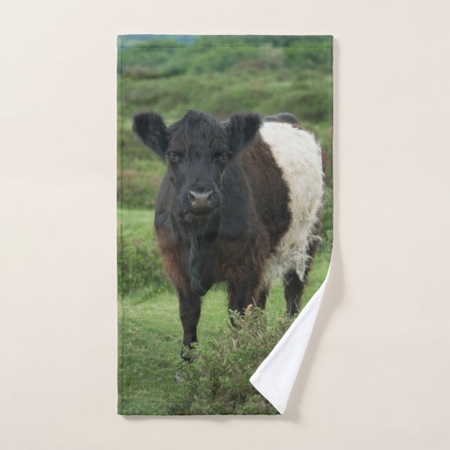 Belted Galloway Cow Hand Towel (Hand Towel)
