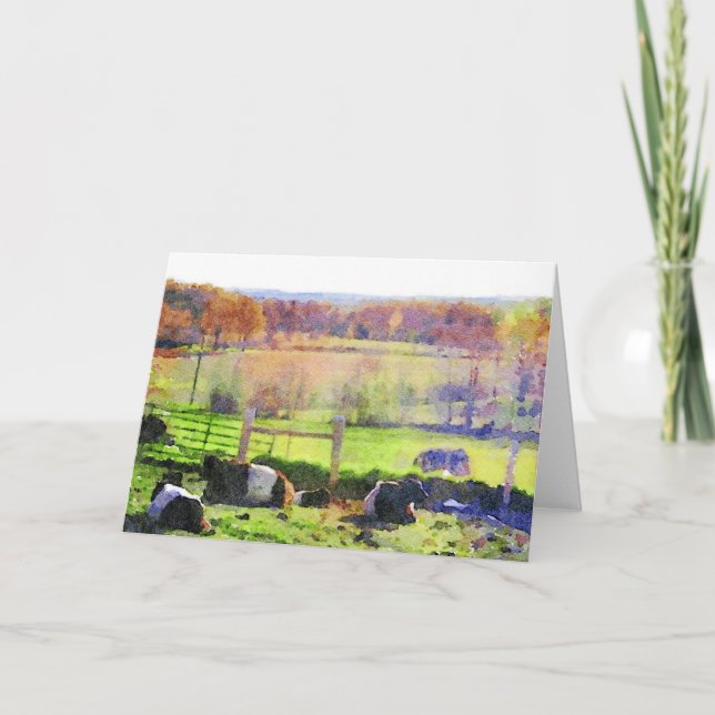 Belted Galloway Cow Herd resting in Autumn Blank Holiday Card (Front)