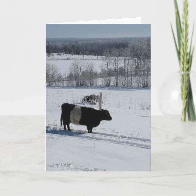 Belted Galloway Cow in a Snowy Landscape Card (Front)