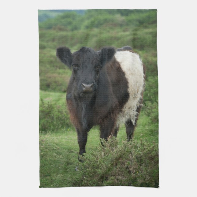 Belted Galloway Cow Kitchen Towel (Vertical)
