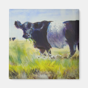 Belted Galloway Cow Painting Magnet