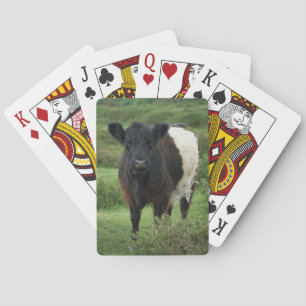 Belted Galloway Cow Playing Cards